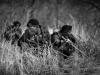 Foto: Frank af Petersens, The Poaching Wars.